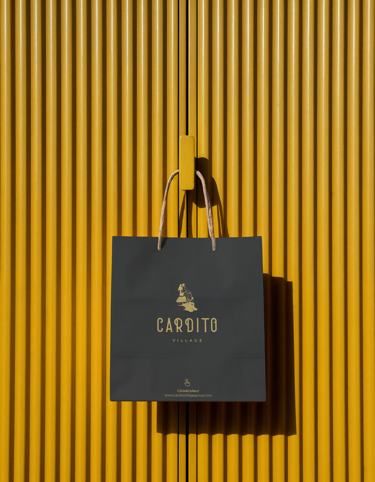 Site internet Cardito